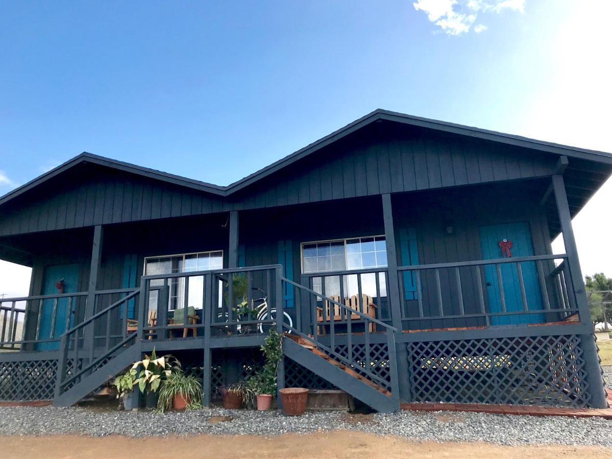 Bajo El Sol Del Valle Valle de Guadalupe Zewnętrze zdjęcie