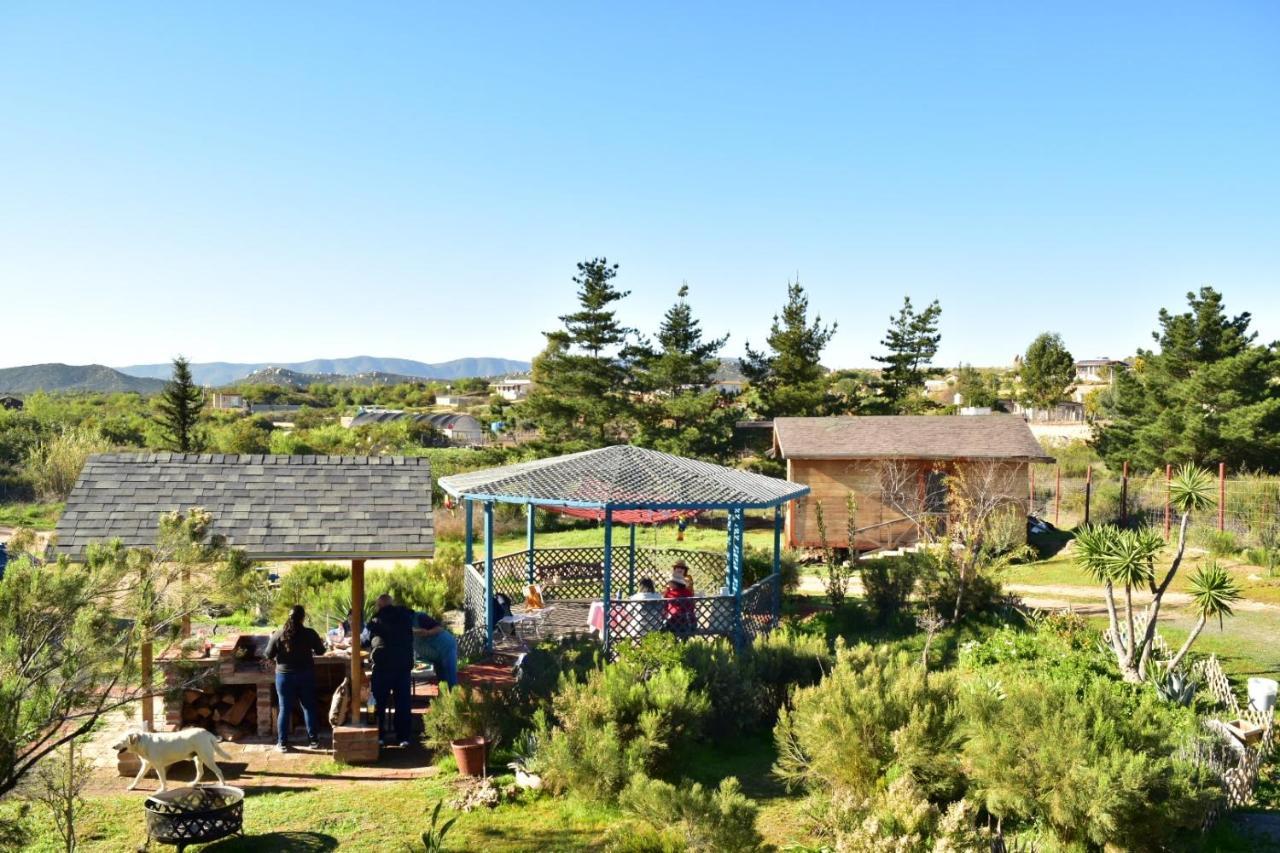 Bajo El Sol Del Valle Valle de Guadalupe Zewnętrze zdjęcie