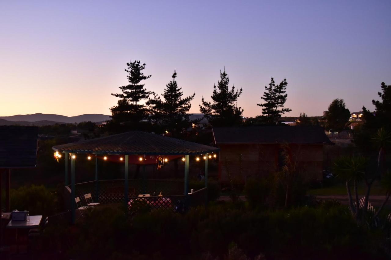 Bajo El Sol Del Valle Valle de Guadalupe Zewnętrze zdjęcie