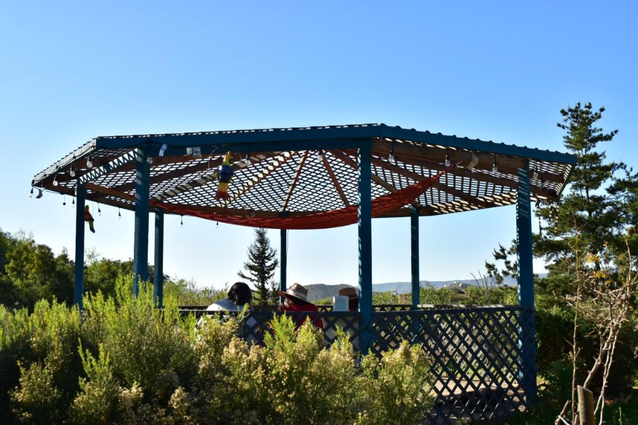 Bajo El Sol Del Valle Valle de Guadalupe Zewnętrze zdjęcie
