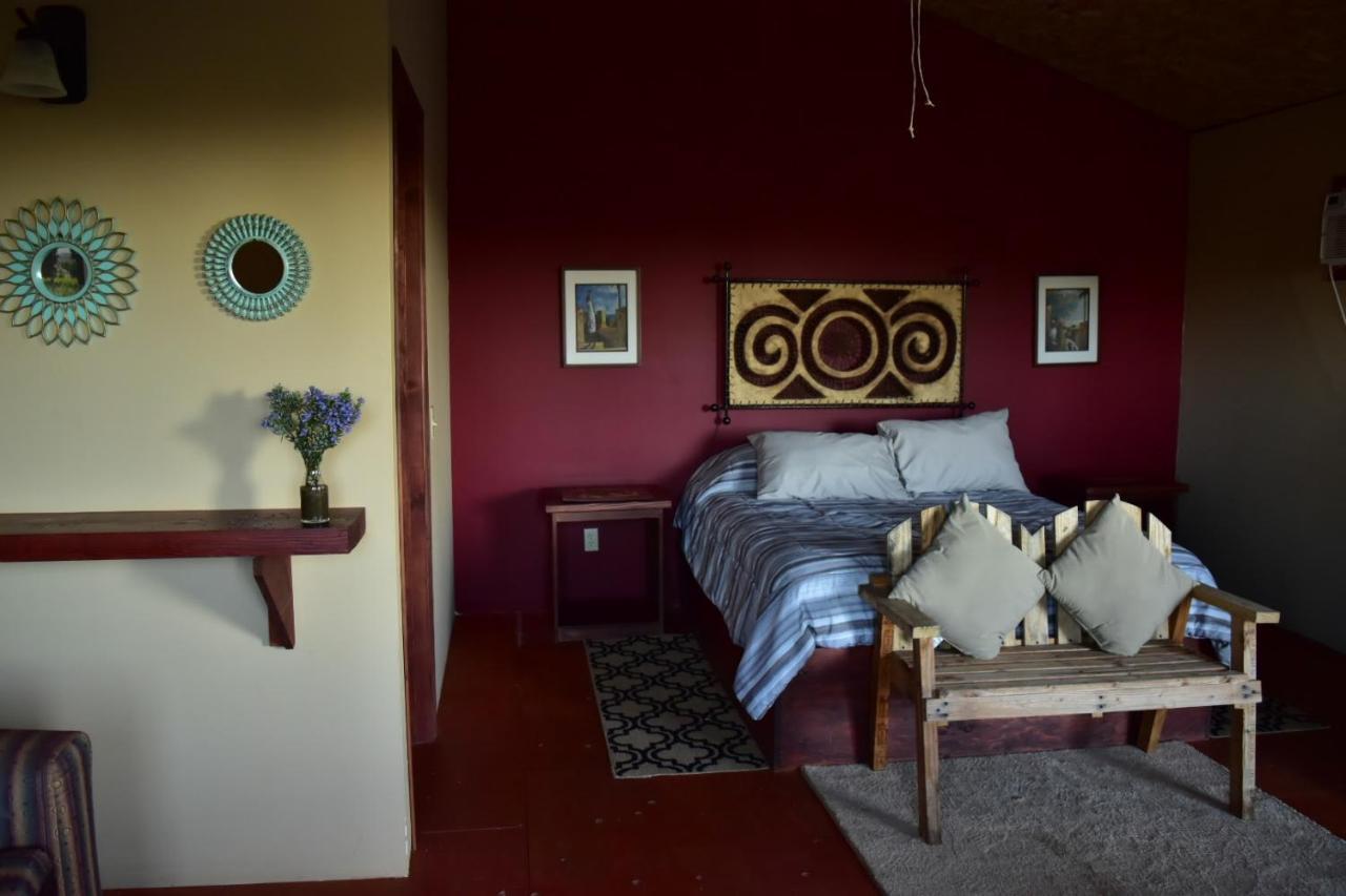 Bajo El Sol Del Valle Valle de Guadalupe Zewnętrze zdjęcie
